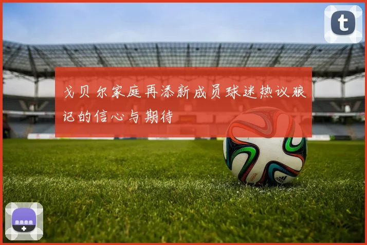 戈贝尔家庭再添新成员球迷热议狼记的信心与期待